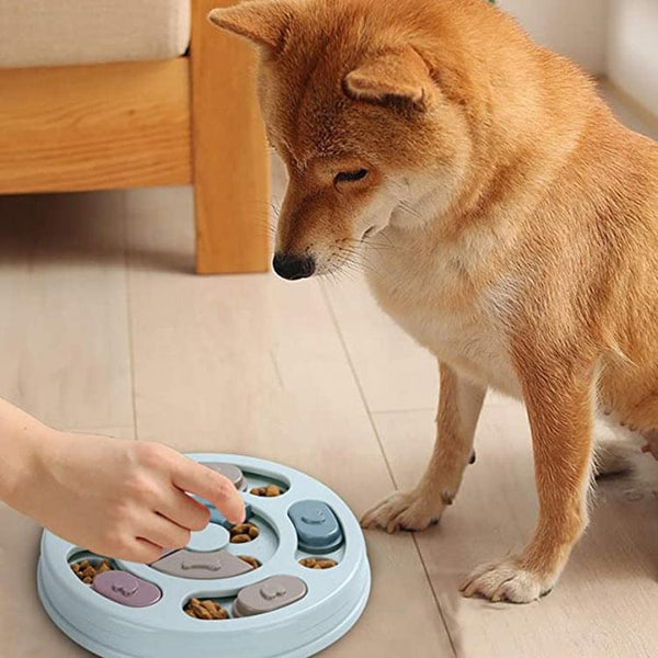 Dog Puzzle Feeding Bowls