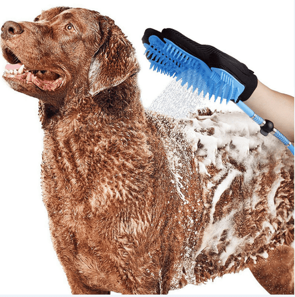 Handheld Dog Shower