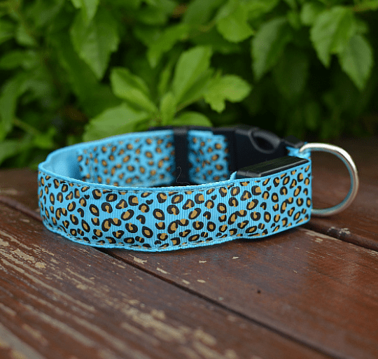 Adjustable LED Dog Collar