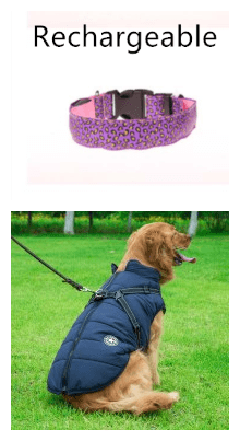 Adjustable LED Dog Collar