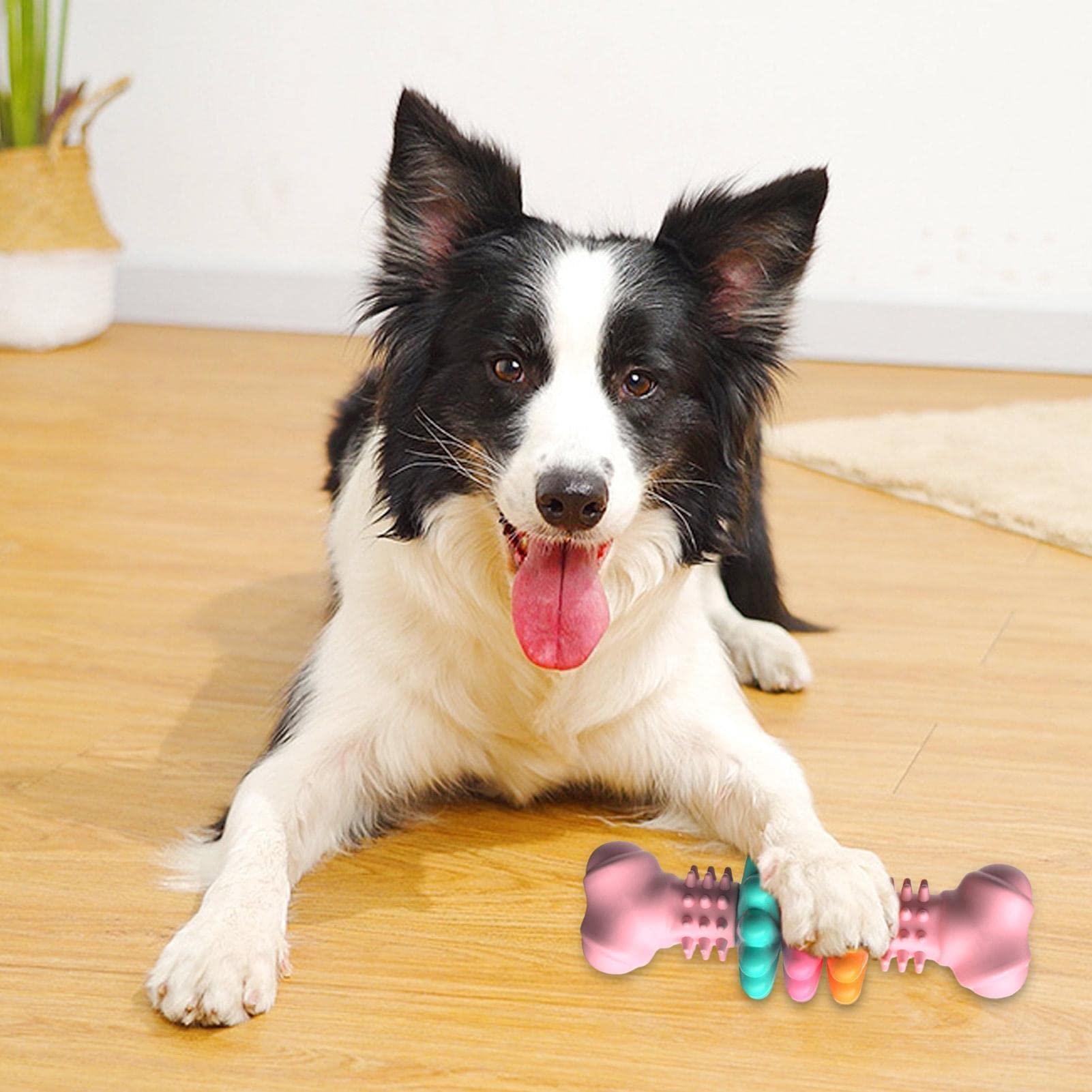 Dog Chew Bone Toy