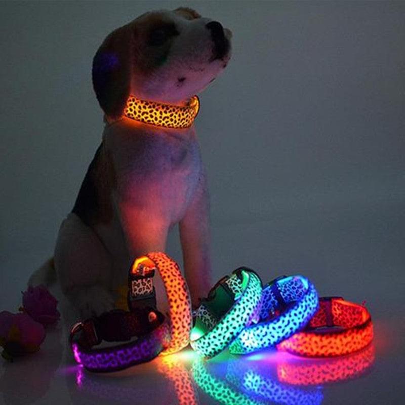 Adjustable LED Dog Collar