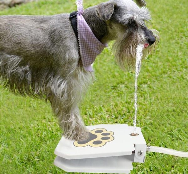 Step Up Water Fountain