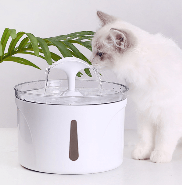 Pet Rotating Water Dispenser