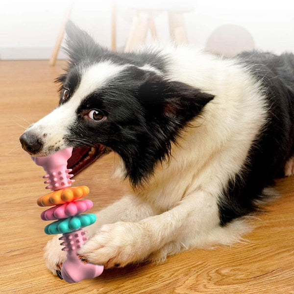 Dog Chew Bone Toy